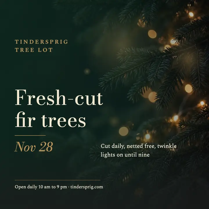 Fresh-cut fir tree lot announcement, moody holiday glow template