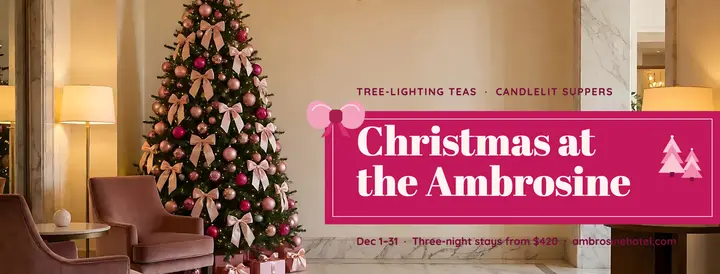 Ambrosine Hotel pink Christmas stay cover template