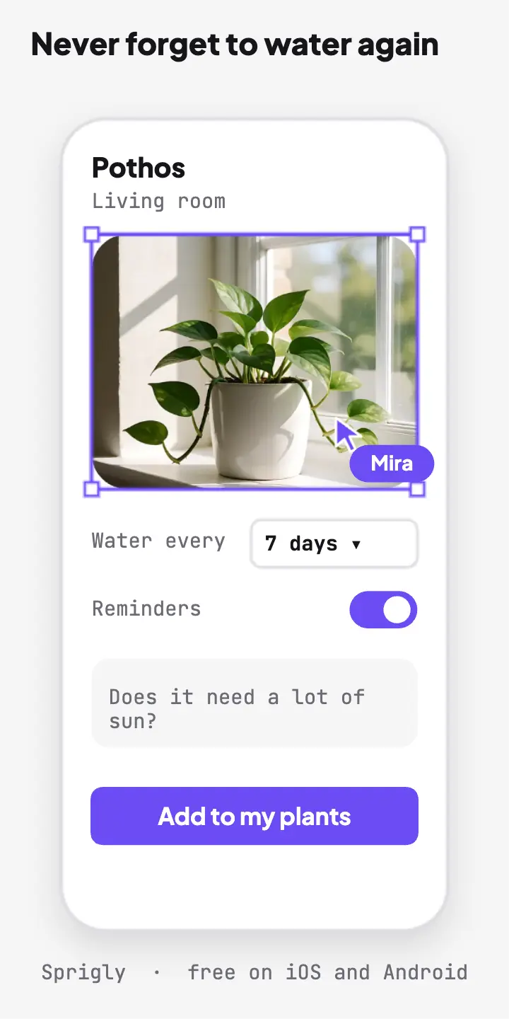 Plant care app half-page ad, UI fragments template
