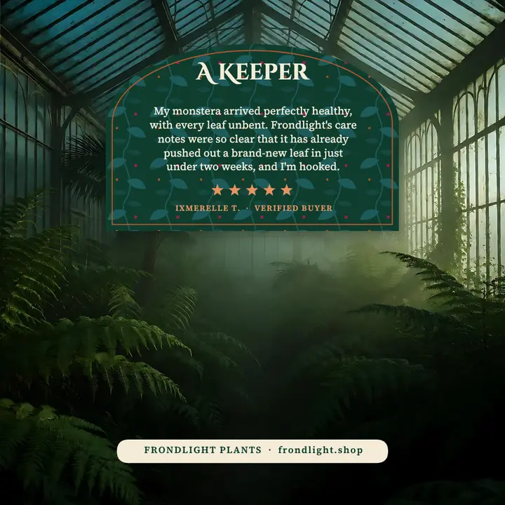 Houseplant shop review card, glasshouse arch template