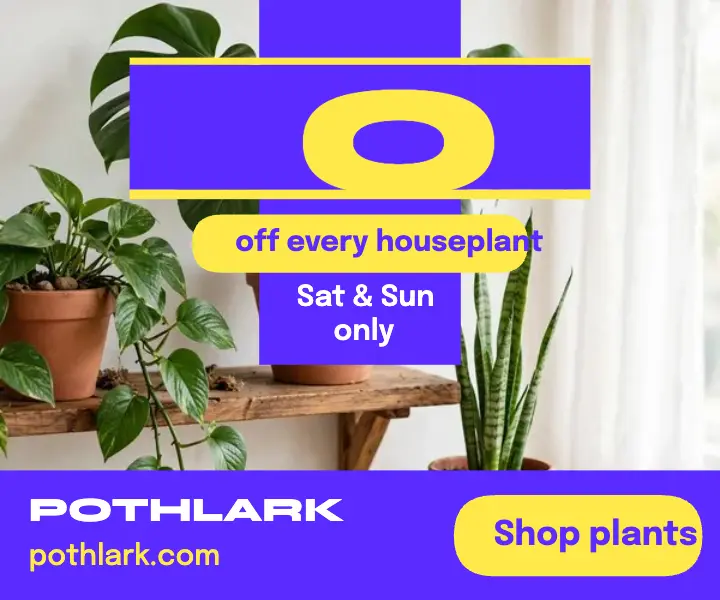 Pothlark houseplant weekend sale ad template