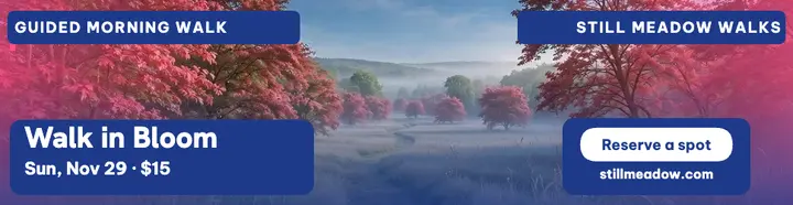 Still Meadow Walks pink meadow walk billboard template