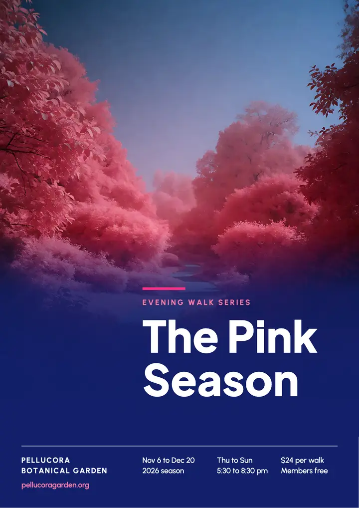 Pink foliage evening walk flyer, infrared bloom template