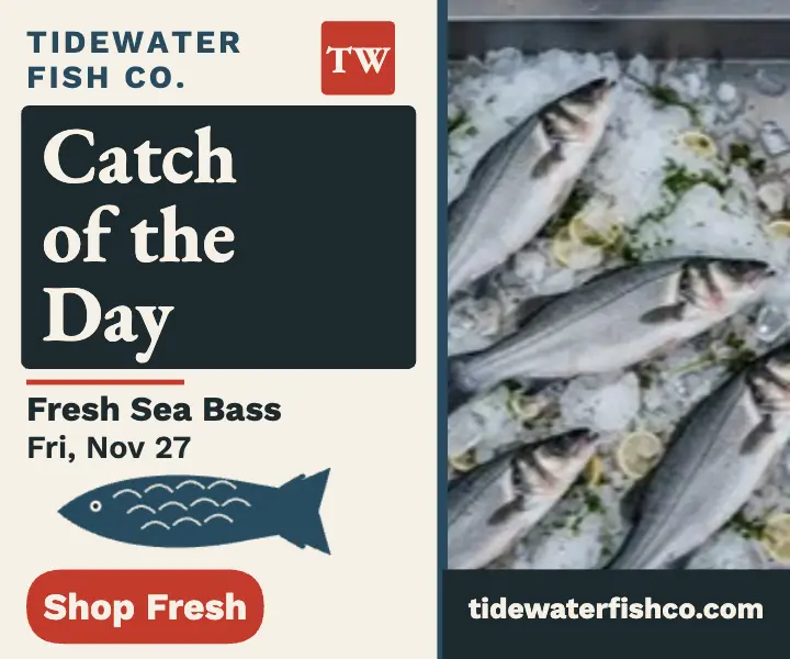 Tidewater catch of the day fish print ad template
