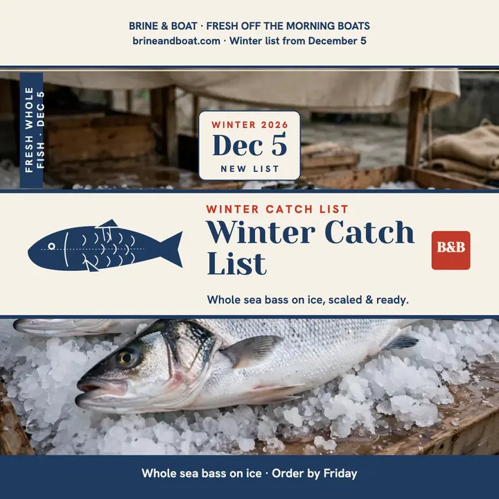 Brine and Boat winter catch list fish print template