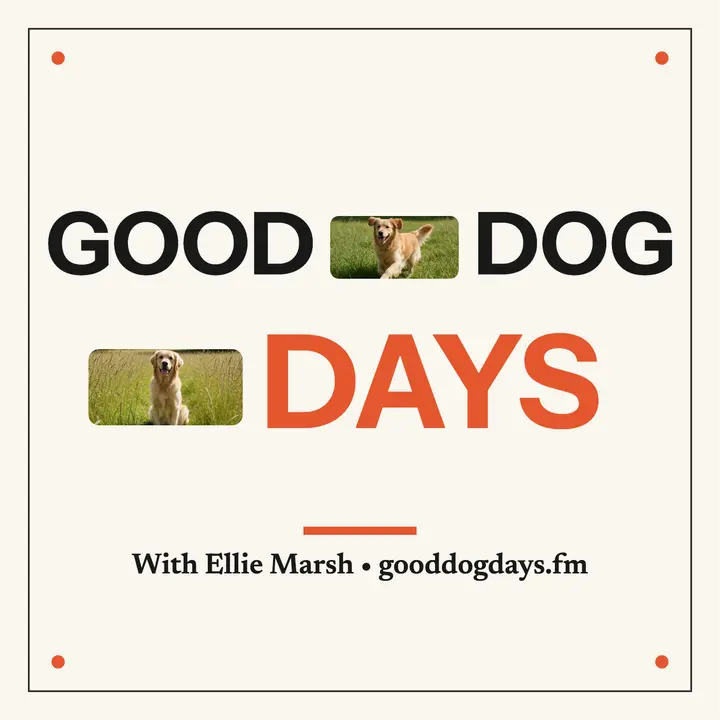 Good Dog Days retriever podcast cover template