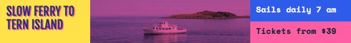 Tern Island ferry risograph leaderboard template