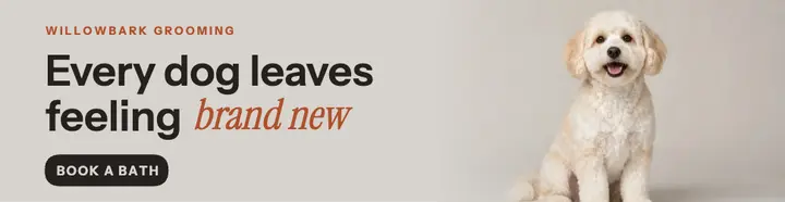 Willowbark groomer billboard template