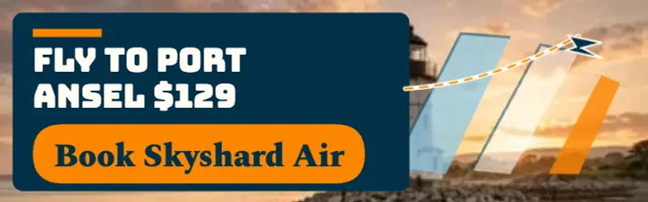 Skyshard Air harbor fare banner: weekend fare banner template