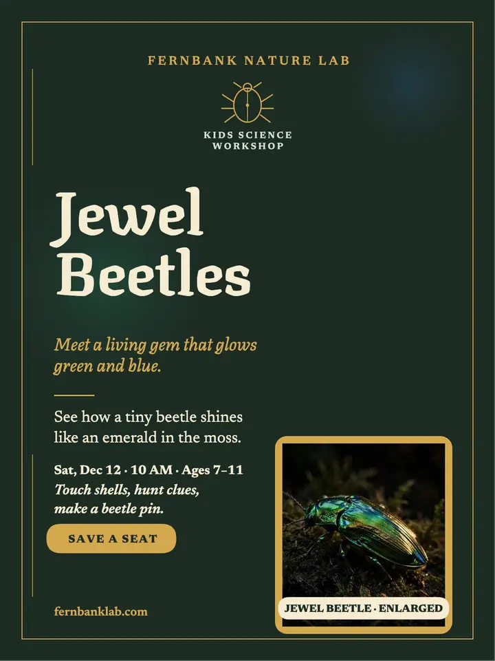 Fernbank jewel beetle kids class portrait template