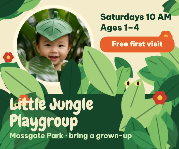 Little Jungle playgroup ad template