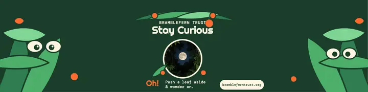 Bramblefern Trust jungle quote banner: jungle quote linkedin banner template