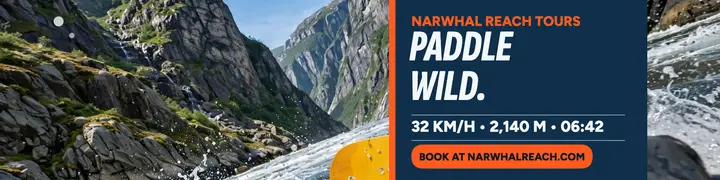 Narwhal Reach kayak tour banner template