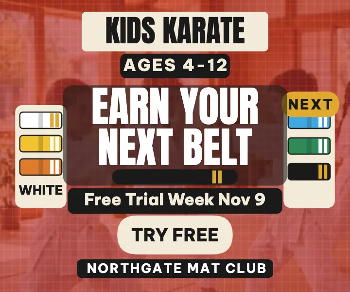 Northgate kids karate belt ladder ad template