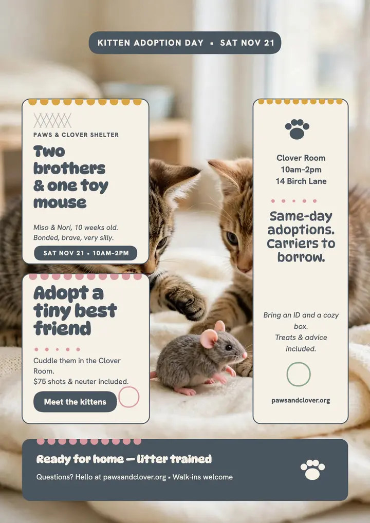 Paws and Clover kitten adoption flyer: kitten adoption flyer template