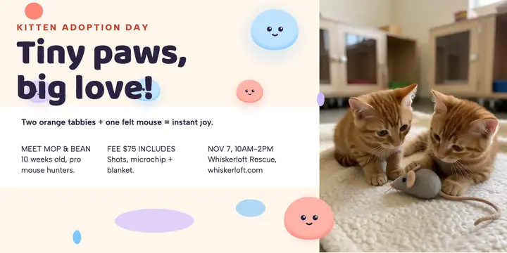 Whiskerloft kitten adoption day blob post template