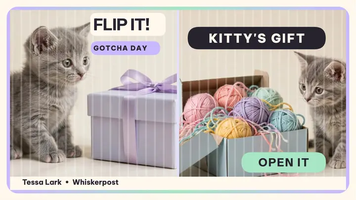 Kitten gift flip thumbnail template