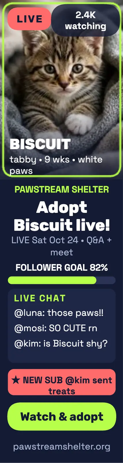 Biscuit kitten livestream skyscraper ad template