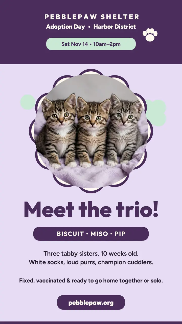Pebblepaw kitten trio adoption story template