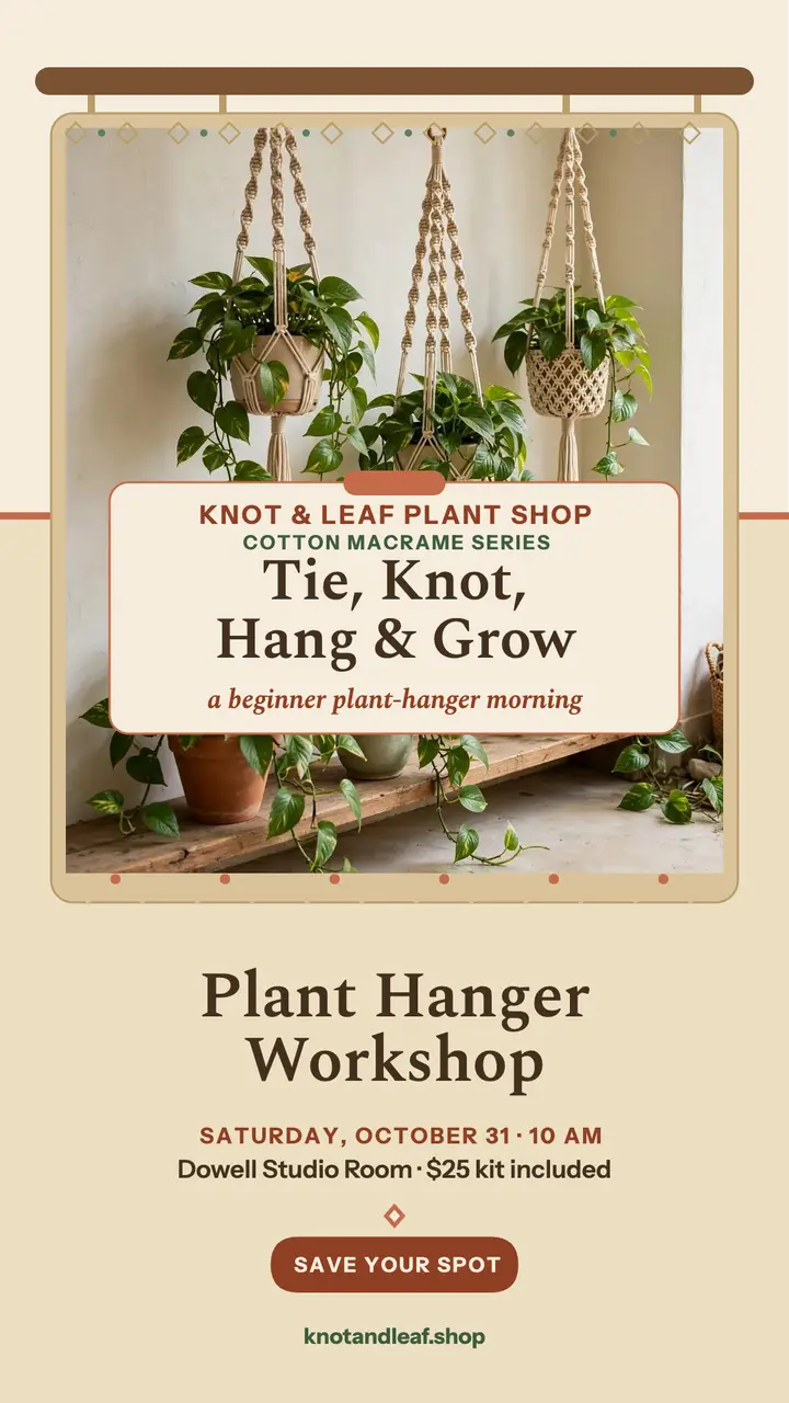 Knot and Leaf macrame workshop story template