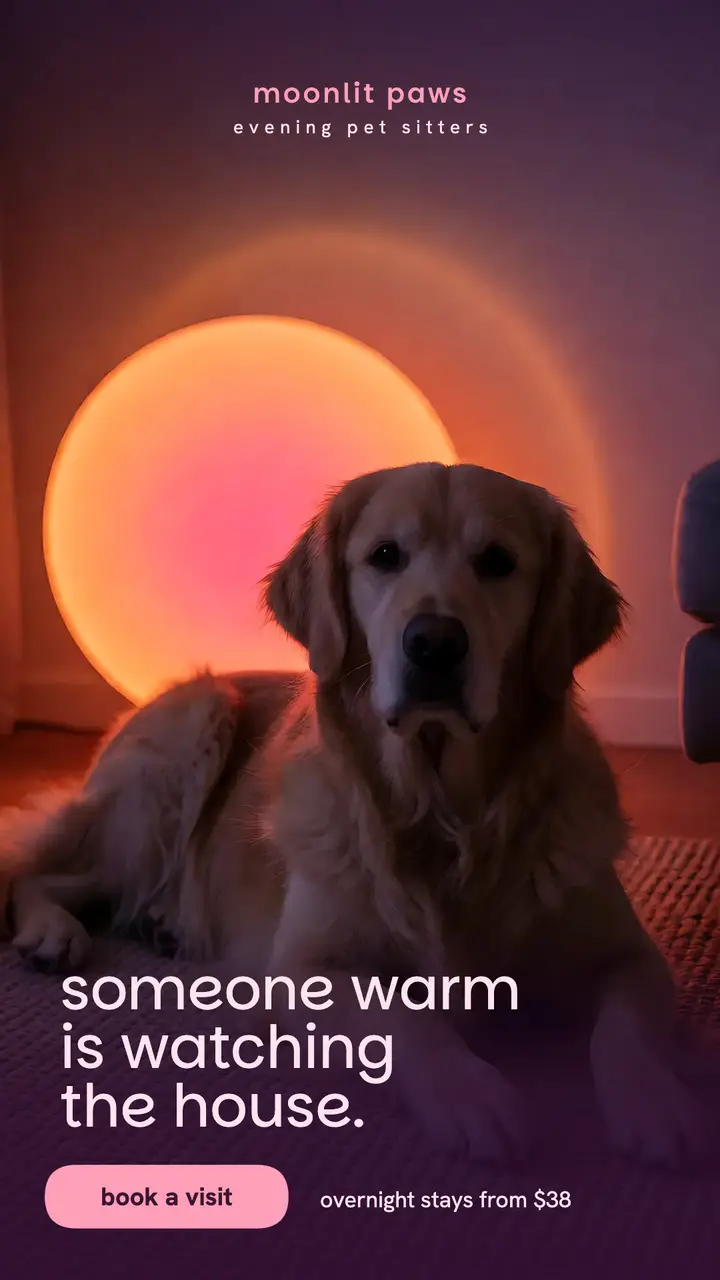 Moonlit Paws evening pet sitting story: pet sitter story template