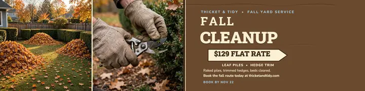 Thicket and Tidy fall cleanup banner template