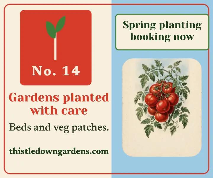 Thistledown Gardens spring planting seed packet ad template
