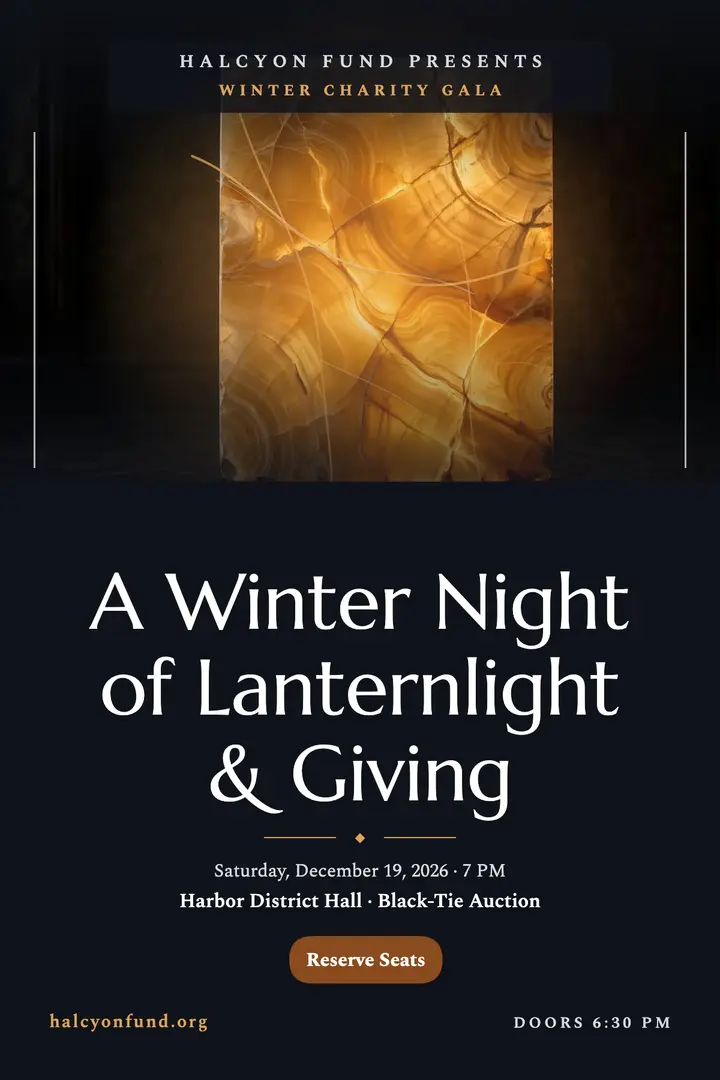 Lanternlight Gala onyx poster template