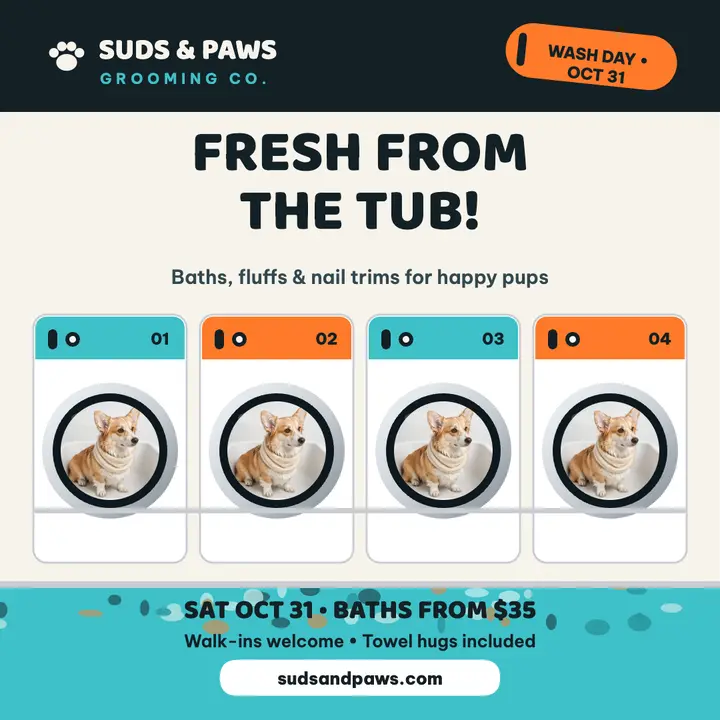 Suds and Paws wash day post template