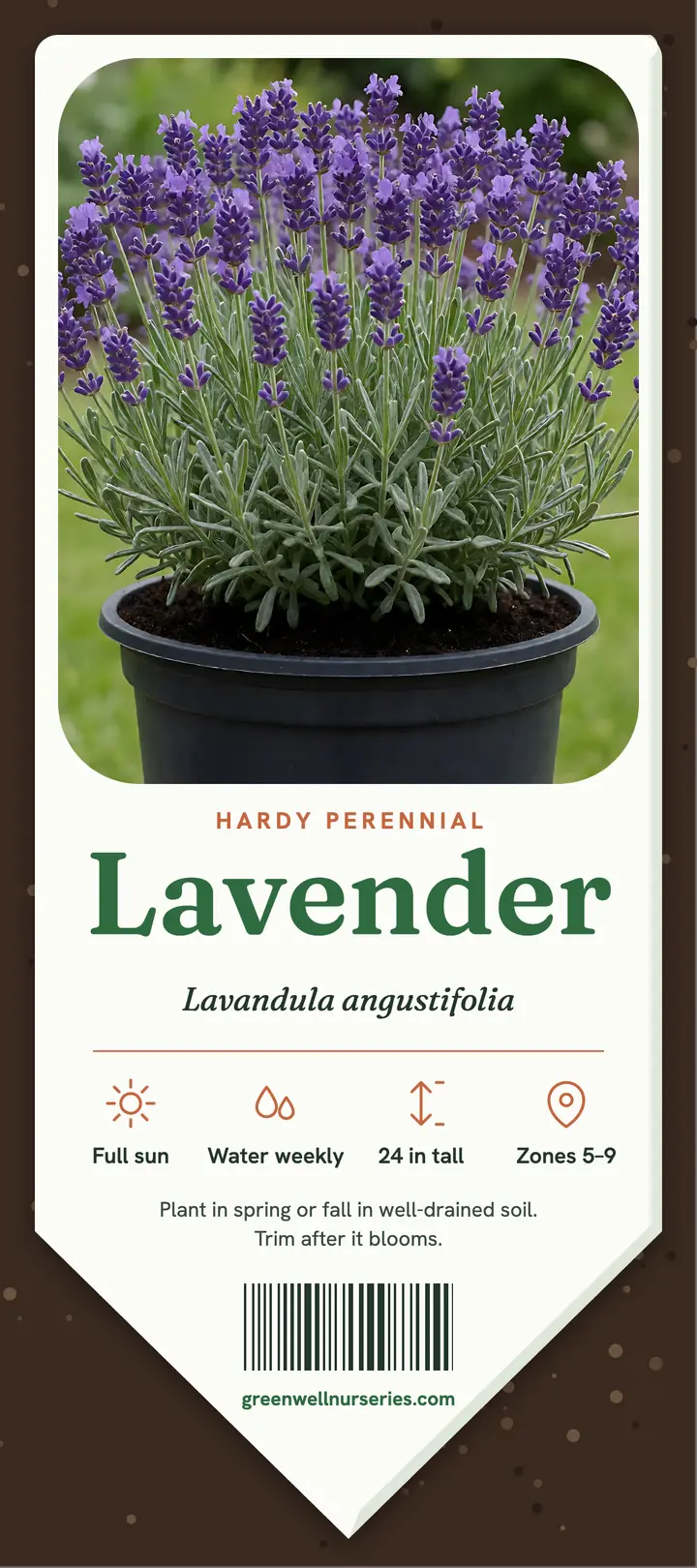 Greenwell Nurseries lavender plant stake rack card template