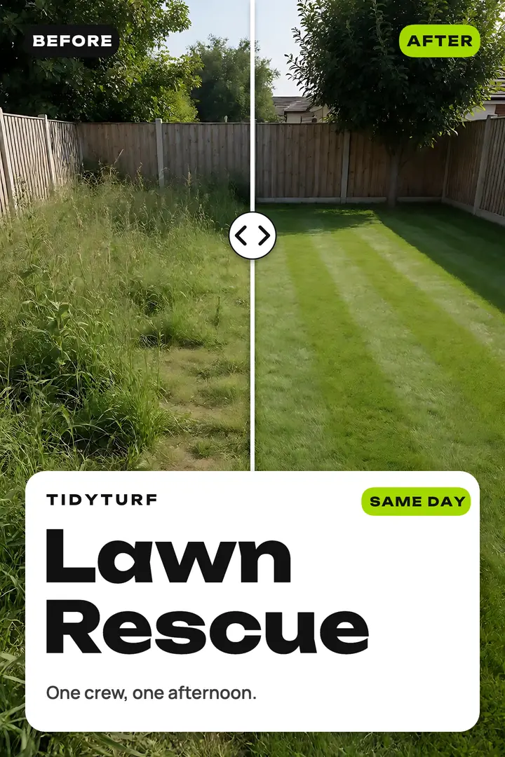 Lawn rescue before and after slider poster template