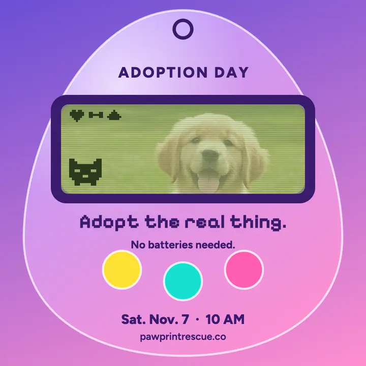 Adopt the real thing adoption day post template