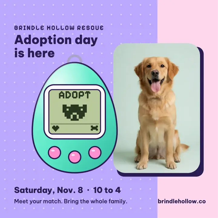 Adopt a real pet adoption day post template
