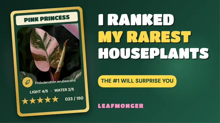 Leafmonger rare houseplant ranking thumbnail, trading card style template