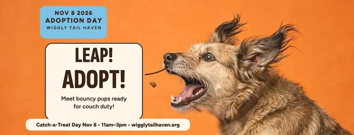 Wiggly Tail Haven treat-catch cover template