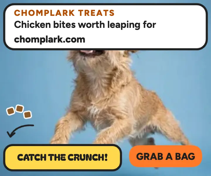 Chomplark leaping treat catch ad template