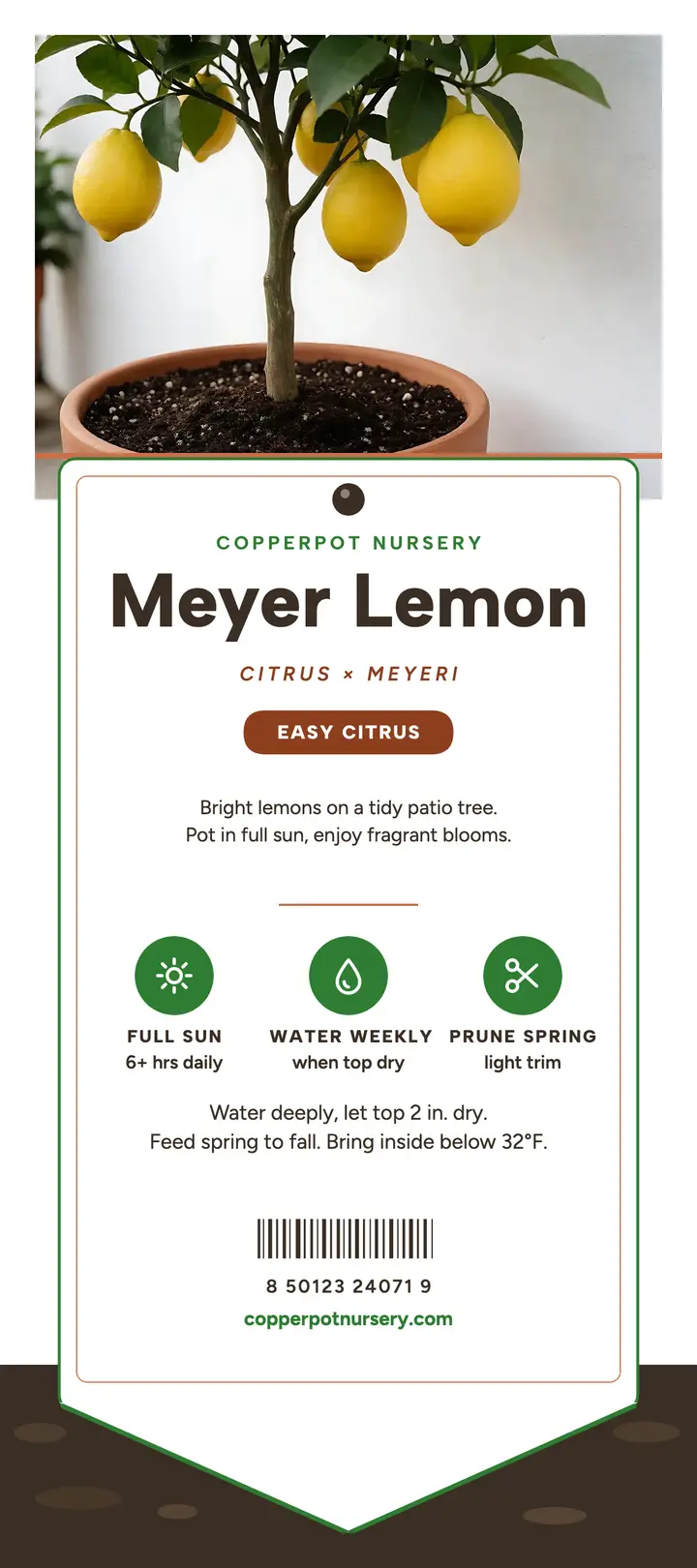 Copperpot Meyer lemon care stake card template