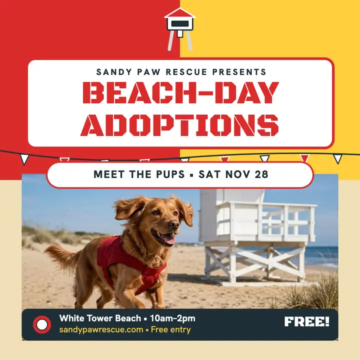 Sandy Paw beach-day adoption post template
