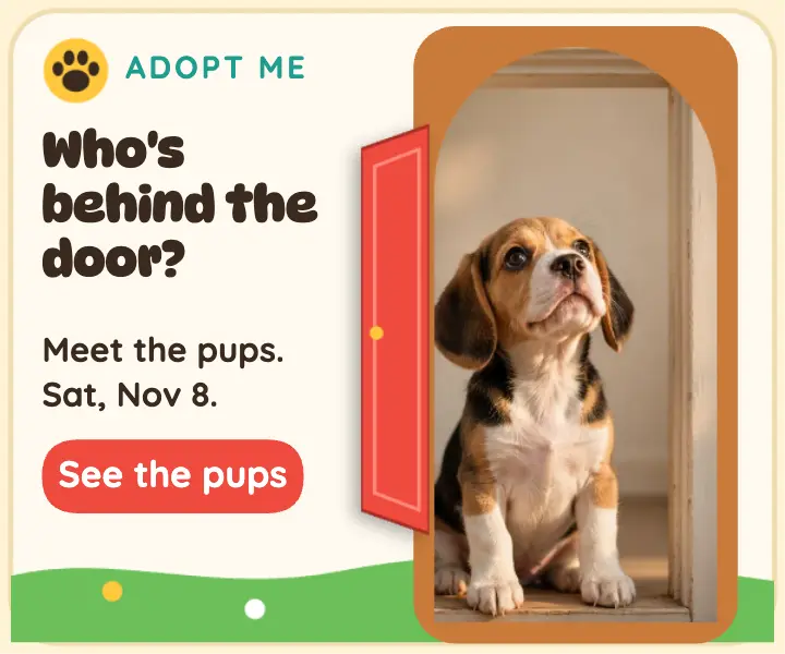 Open-the-door puppy adoption day ad: pet adoption ad template