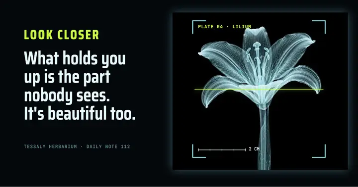 Look closer x-ray lily quote template
