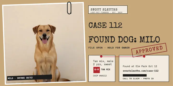 Snout Sleuths found dog case file post: lost dog found post template