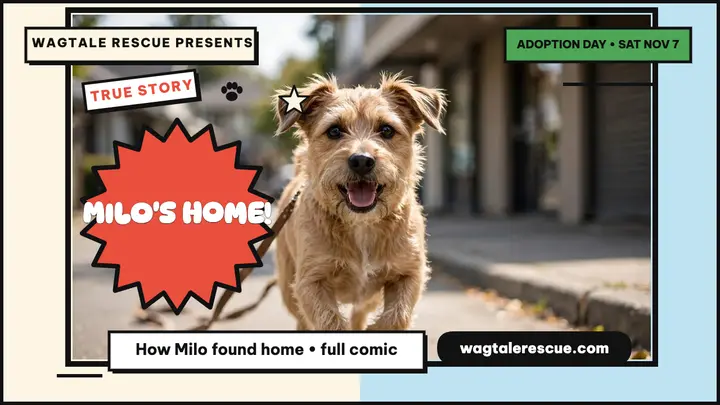 Milo lost dog comic thumbnail template