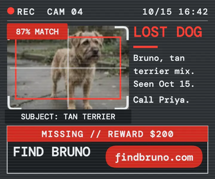 Lost terrier surveillance alert ad template