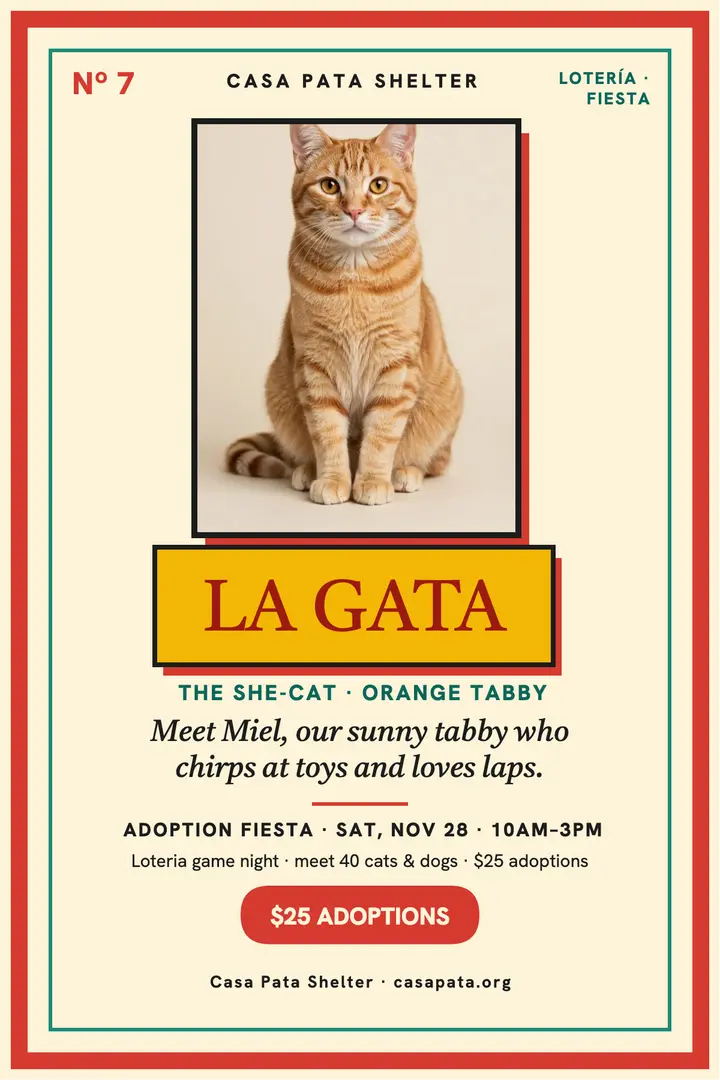 Casa Pata loteria cat adoption poster template