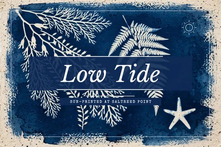 Low tide postcard, cyanotype template