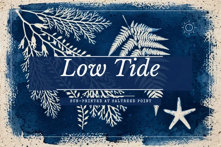 Low tide postcard, cyanotype template