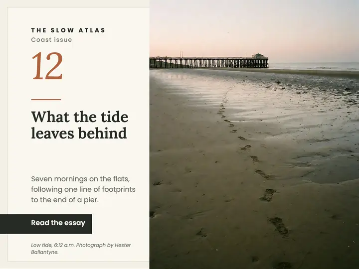 What the tide leaves behind travel essay slide, explorecore essay template