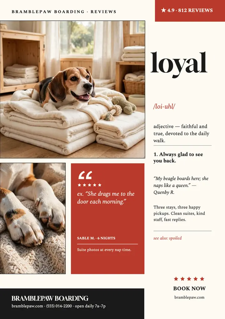Bramblepaw loyal boarding review flyer template