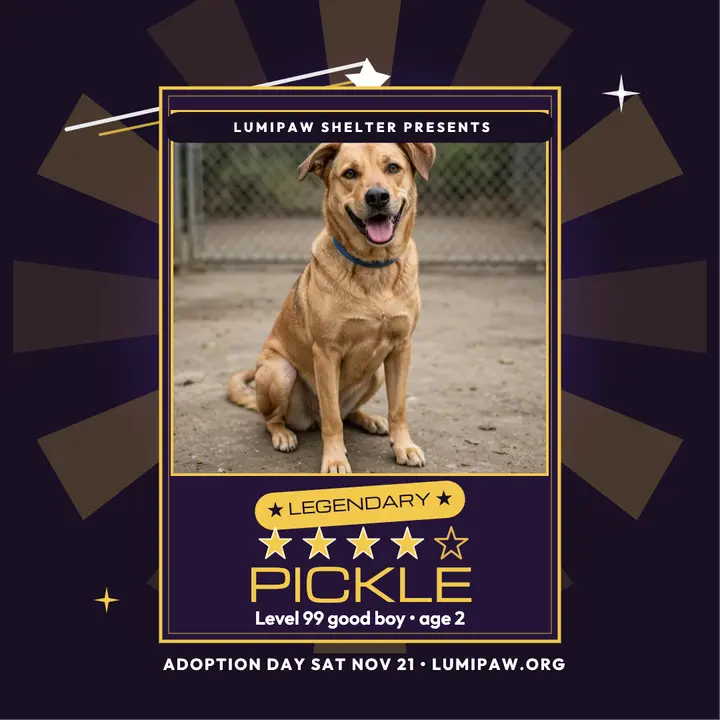 Lumipaw legendary shelter dog adoption post template