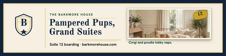 Barkmore House luxury dog banner template